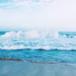 Meet your Posher, Leela